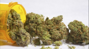 Kenevir = Esrar mı? 