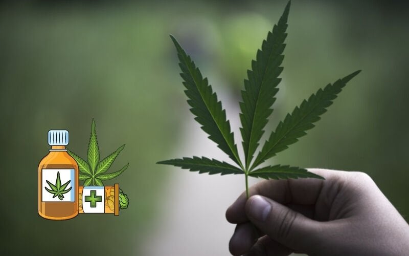 Türkiye’de CBD ve Kenevir (Cannabis) Ürünlerinin Hukuki Statüsü